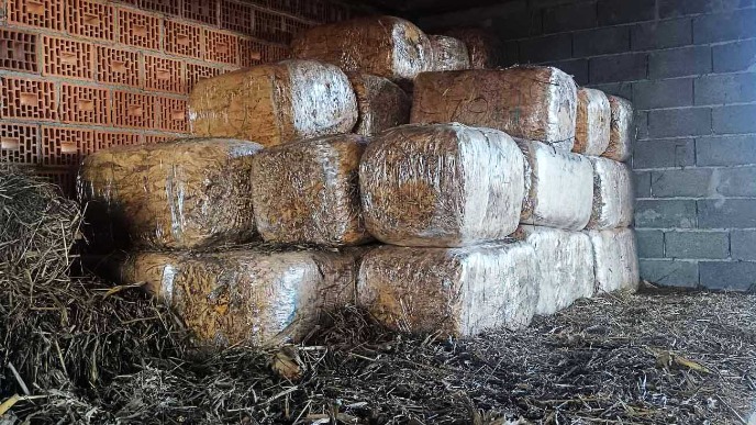 Šteta za budžet 27 miliona